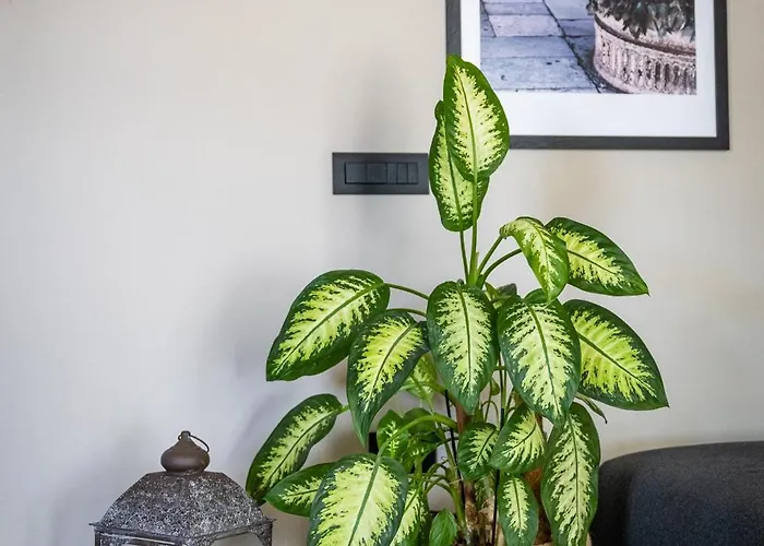 公寓 Azure Vista *