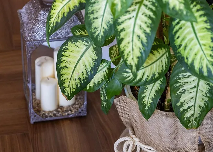 Azure Vista 公寓 *